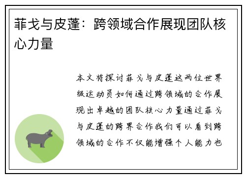 菲戈与皮蓬：跨领域合作展现团队核心力量