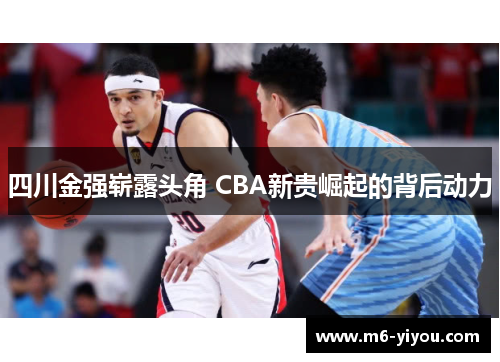 四川金强崭露头角 CBA新贵崛起的背后动力