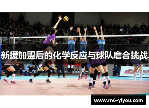 新援加盟后的化学反应与球队磨合挑战